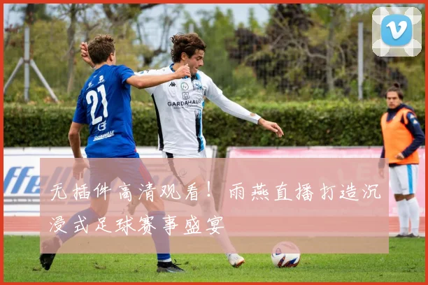 无插件高清观看！雨燕直播打造沉浸式足球赛事盛宴
